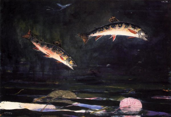 Leaping Trout