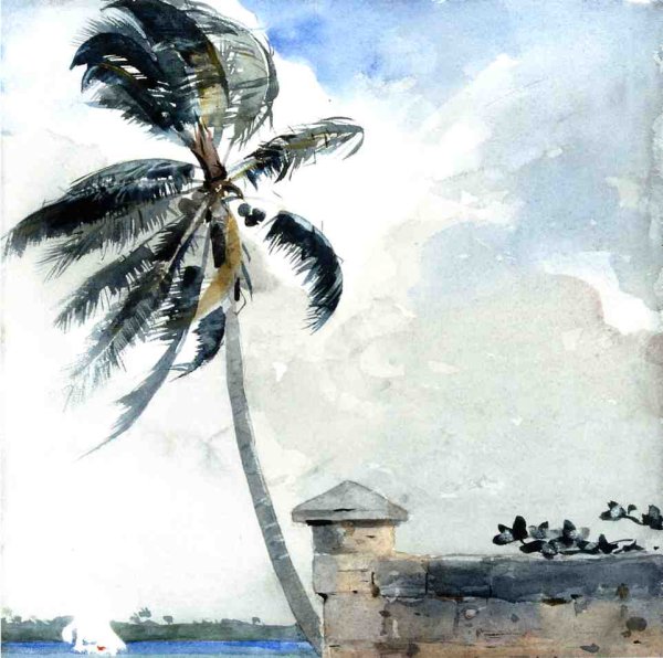 A Tropical Breeze, Nassau