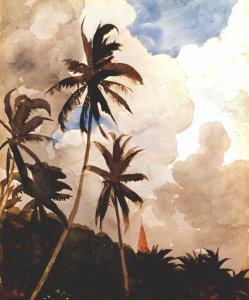 Palm trees (Bahamas)