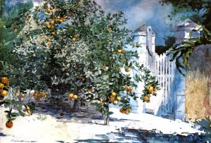 Orange Tree, Nassau (or Orange Trees and Gate)